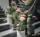 DSC02672